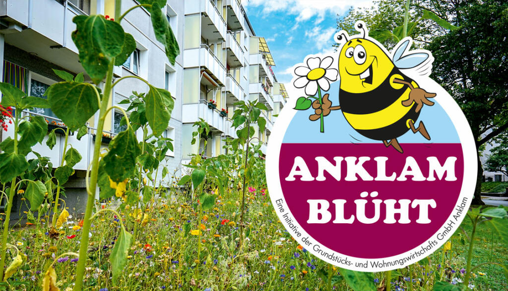 Anklam blüht!